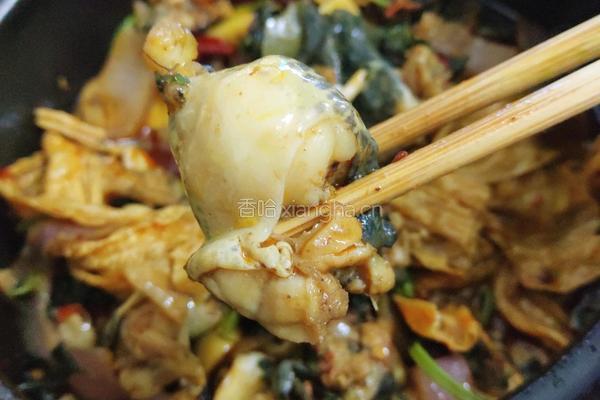 紫苏砂锅牛蛙（田鸡）的做法图解8