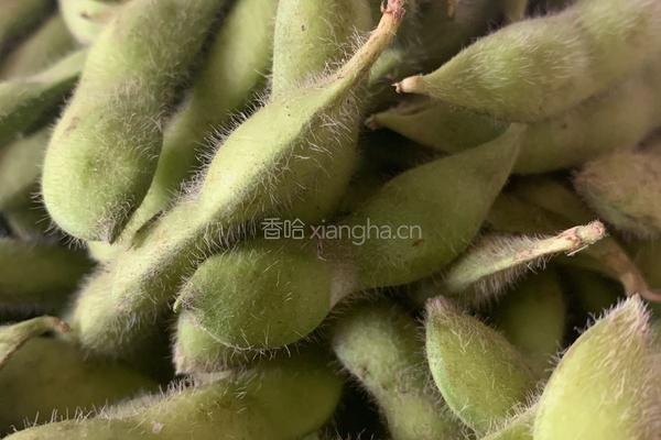 盐煮毛豆的做法图解1