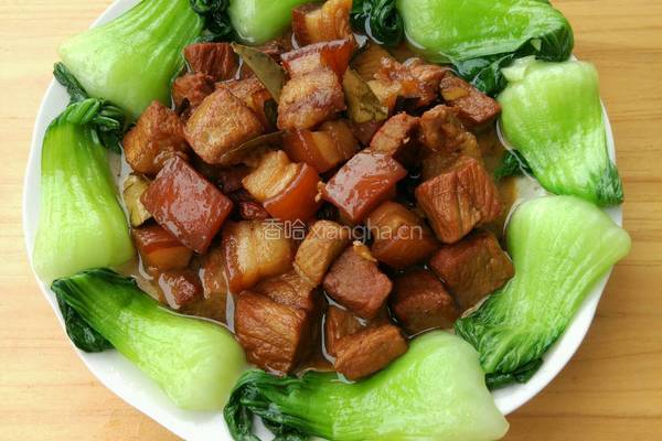 红烧肉的做法图解9