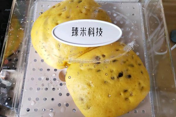 南瓜蜜豆馒头的做法图解8