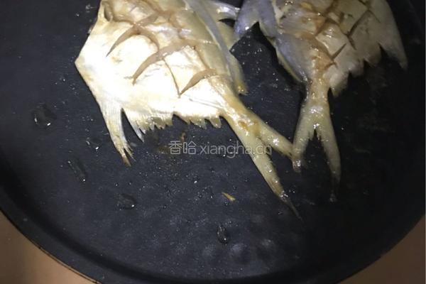 油煎鲜平鱼的做法图解3