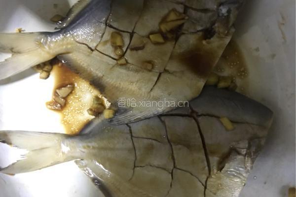 油煎鲜平鱼的做法图解2