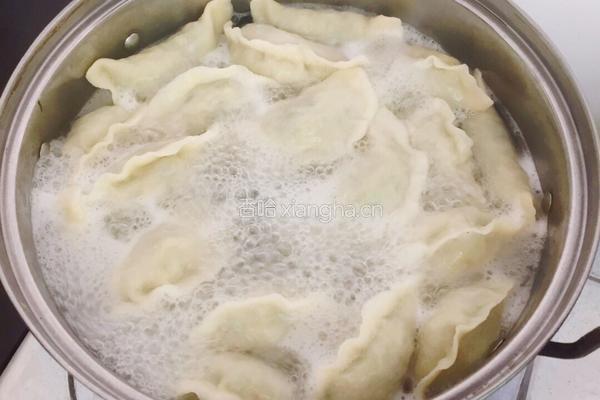 苜蓿草饺子的做法图解8