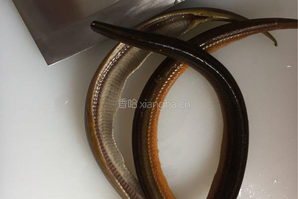 白胡椒黄鳝汤的做法图解5