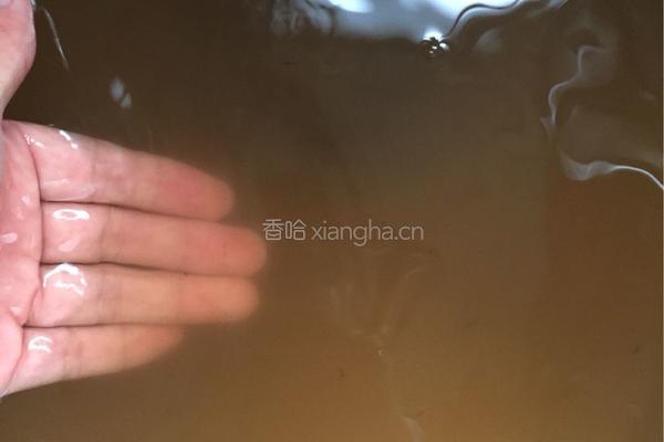 原味红烧小龙虾的做法图解4