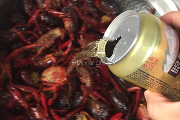 原味红烧小龙虾的做法图解14