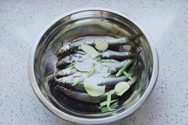 煎青凌子鱼的做法图解5