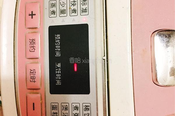 胡萝卜牛肉手抓饭的做法图解12