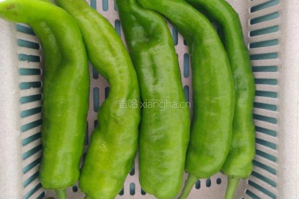 家常虎皮尖椒的做法图解1