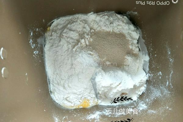 红枣辫子小吐司面包的做法图解7