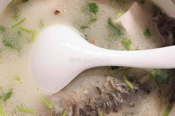 鲫鱼豆腐汤的做法图解5