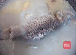 鲫鱼豆腐汤的做法图解3