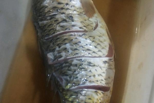 糖醋鲤鱼的做法图解1