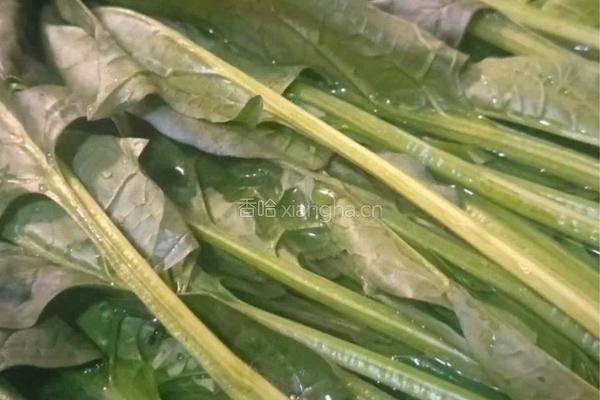 生酮·低碳水减肥麻酱菠菜的做法图解2