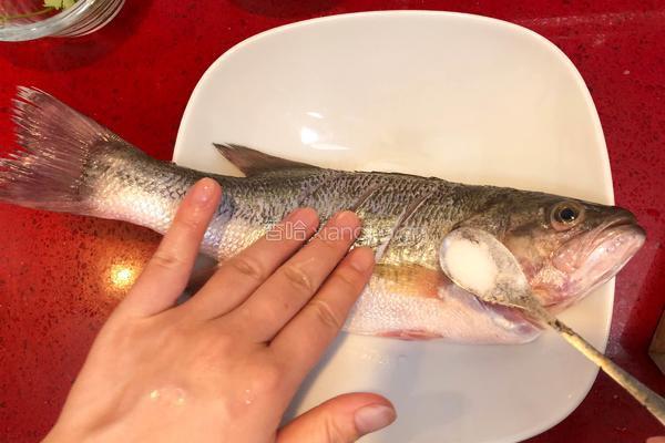 泰式青柠蒸鱼∣鲜嫩口感酸甜开胃 的做法图解4