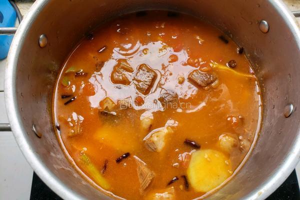 番茄土豆炖牛腩的做法图解13