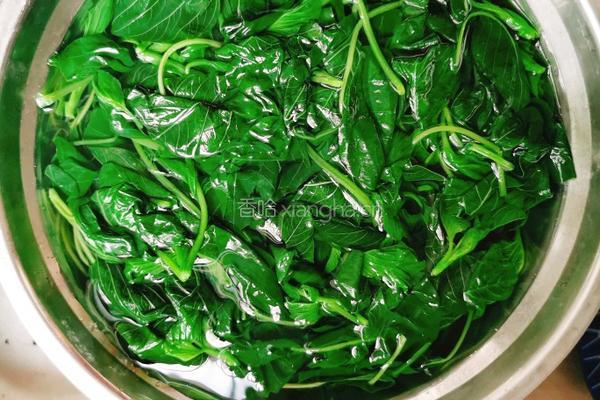 凉拌野菜的做法图解3
