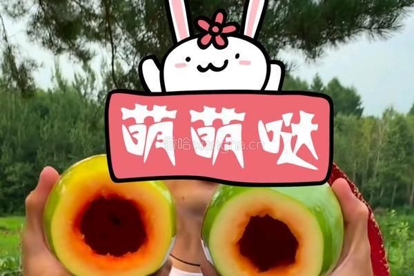 牛奶木瓜的做法图解2