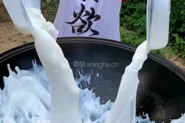 牛奶木瓜的做法图解3