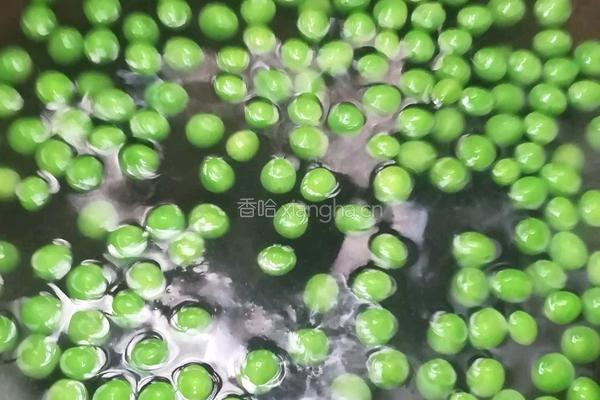 家常杏袍菇的做法图解4