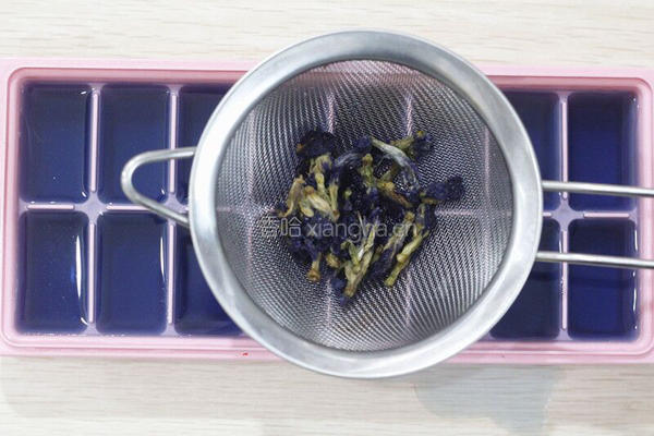 高颜值蝶豆花特饮的做法图解3