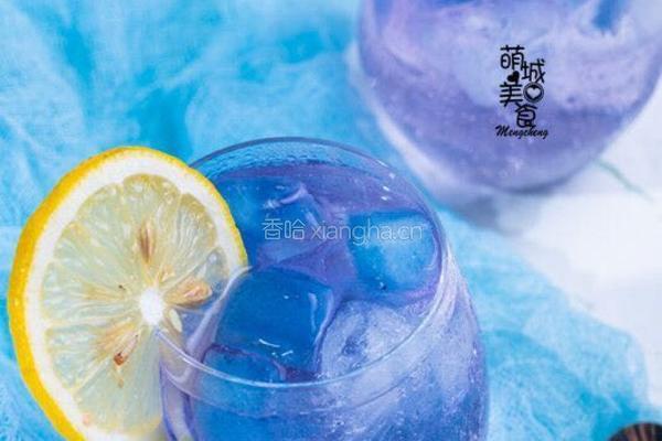 高颜值蝶豆花特饮的做法图解7