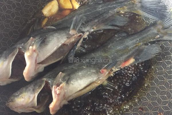 红烧昂刺鱼（黄辣丁）的做法图解4