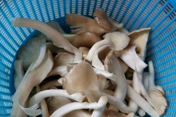 钵钵鸡的做法图解7