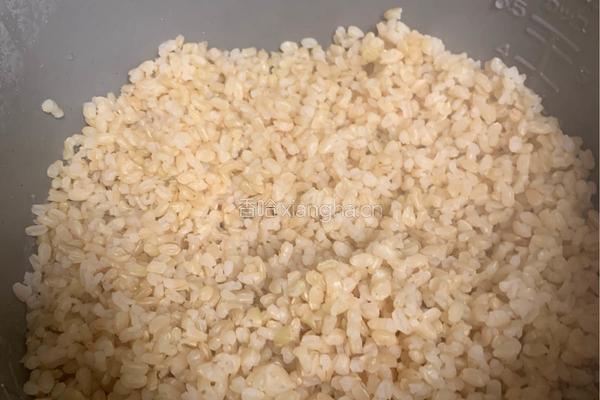 日式咖喱牛肉饭的做法图解6