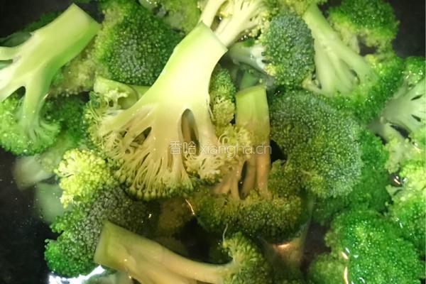 蒜蓉西兰花的做法图解3