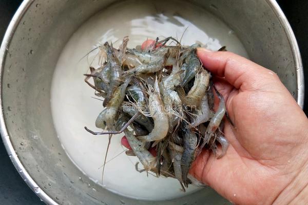 韭菜苔炒河虾的做法图解2