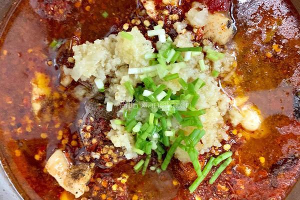 麻辣豆花鱼的做法图解11