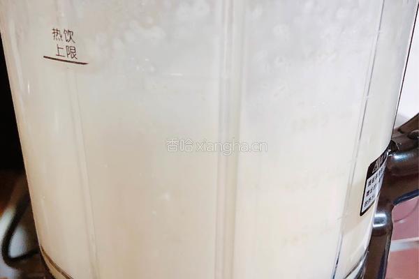 鲜椰浆苦咖啡绵绵冰（椰子油奶白顺滑诱人极了）的做法图解9