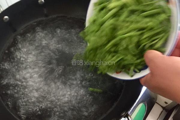 胡芹炒肉丝的做法图解3