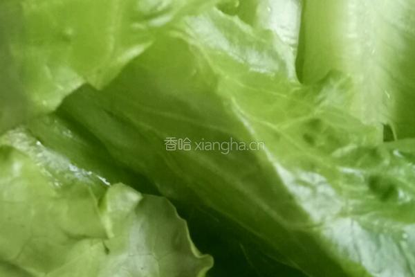 耗油生菜的做法图解1