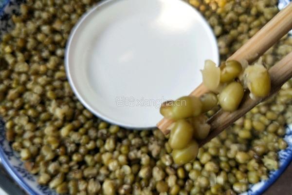 自制绿豆汤的做法图解6