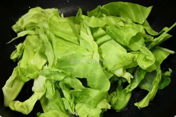 圆白菜炒木耳的做法图解8