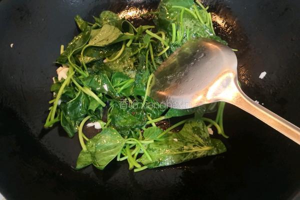 蒜香红薯叶的做法图解7