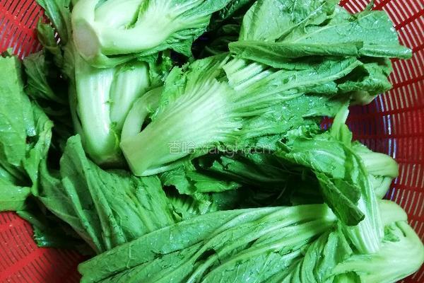 广式泡酸菜(农家简单做法)的做法图解1