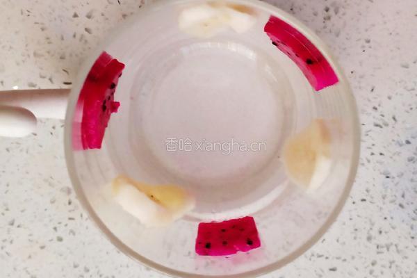 水果坚果酸奶杯的做法图解4