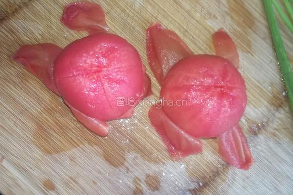 西红柿肉丸汤的做法图解4
