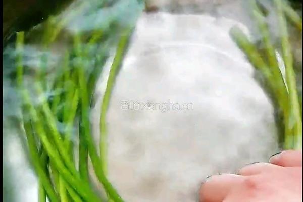 凉拌蒜薹的做法图解2