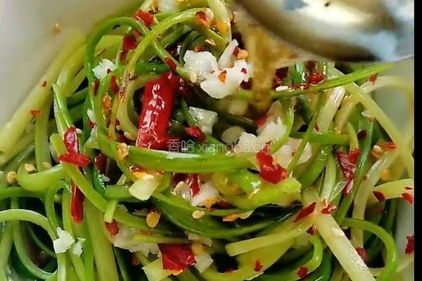 凉拌蒜薹的做法图解7