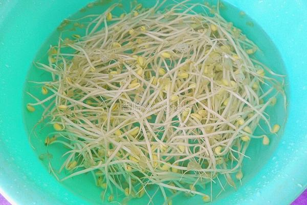 豆芽丝瓜汤的做法图解2