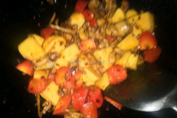 土豆烧鸡肉的做法图解6