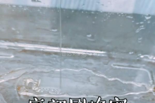 黑糖红枣蜜糕的做法图解6