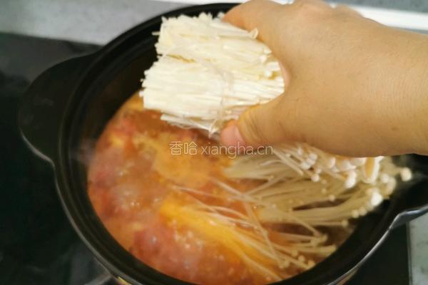 金针菇番茄牛肉煲的做法图解18