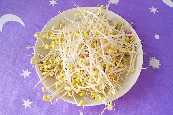 豆芽炒西兰花的做法图解6