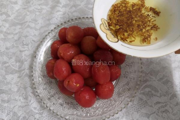 桂花蜜淋小番茄的做法图解11