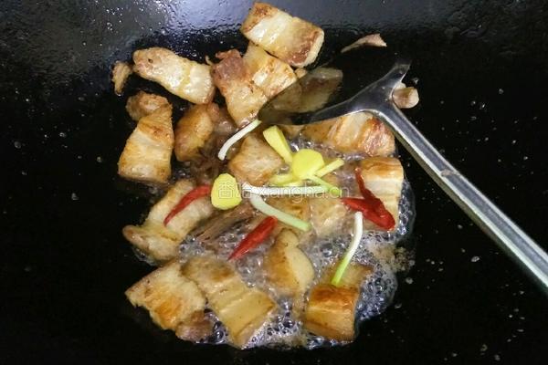 红烧肉的做法图解4